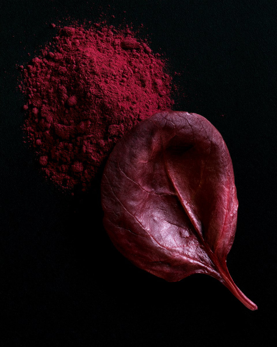 Red Spinach Extract